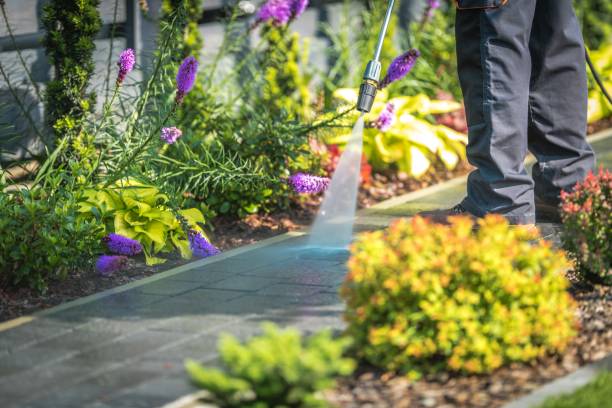 Best Sidewalk and Walkway Cleaning  in Park City, UT